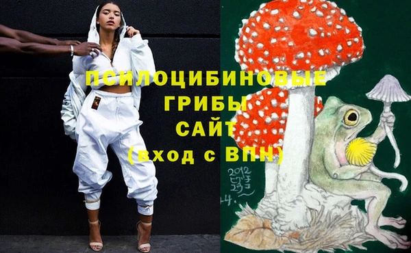 экстази Заволжск