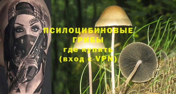 дистиллят марихуана Заводоуковск