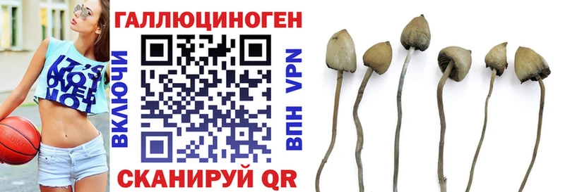 Галлюциногенные грибы Magic Shrooms  цены   Альметьевск 