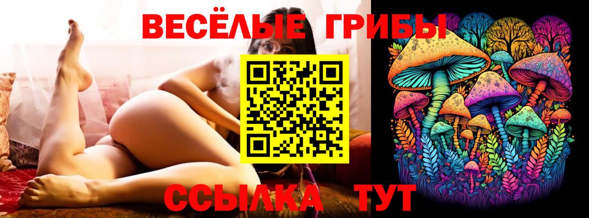 купить наркотики цена  Галлюциногенные грибы Cubensis  Вход с VPN  Псилоцибиновые грибы прущие грибы  Альметьевск 